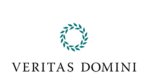 Строительный холдинг Veritas Domini